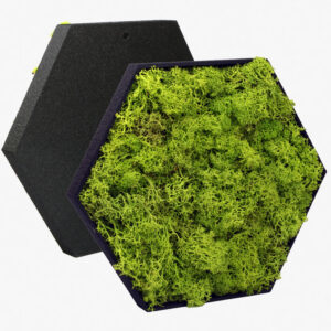Hexagon Moosbild - Mobihex