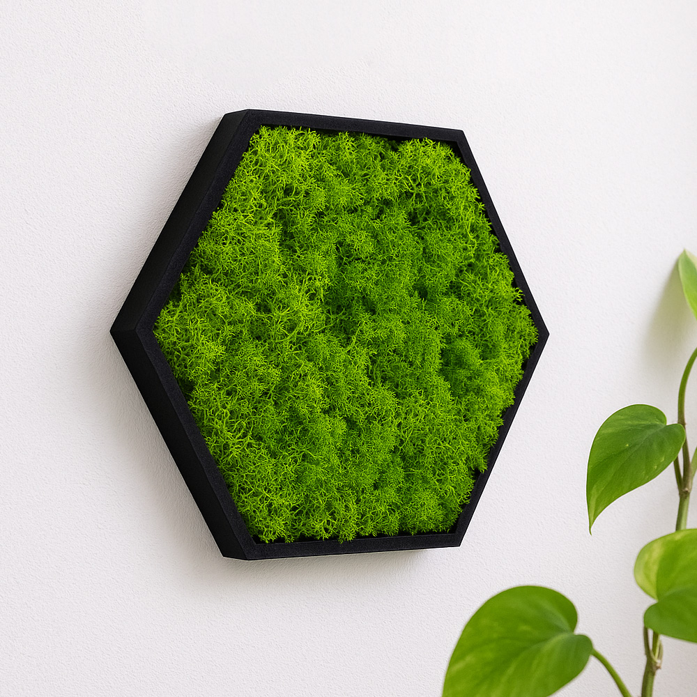 Hexagon Moosbild - Mobihex